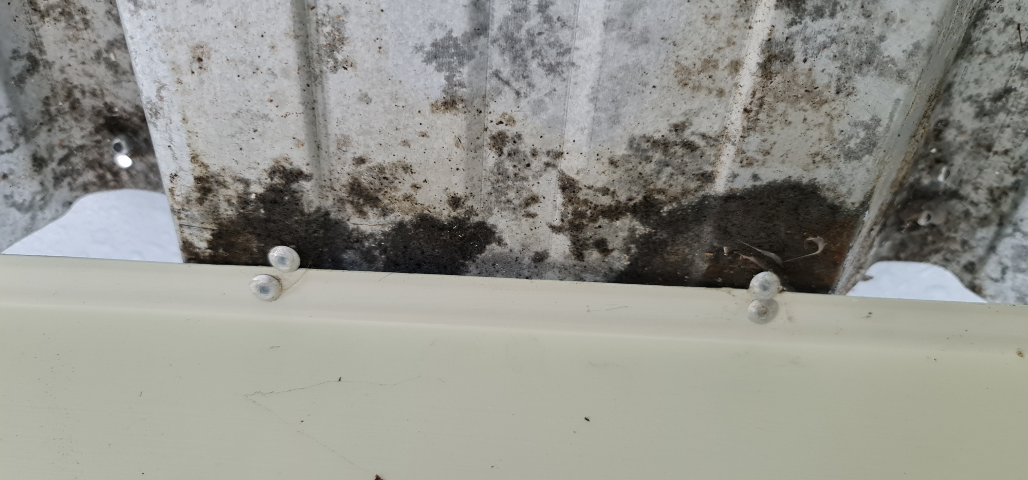 20221121 155759 resized