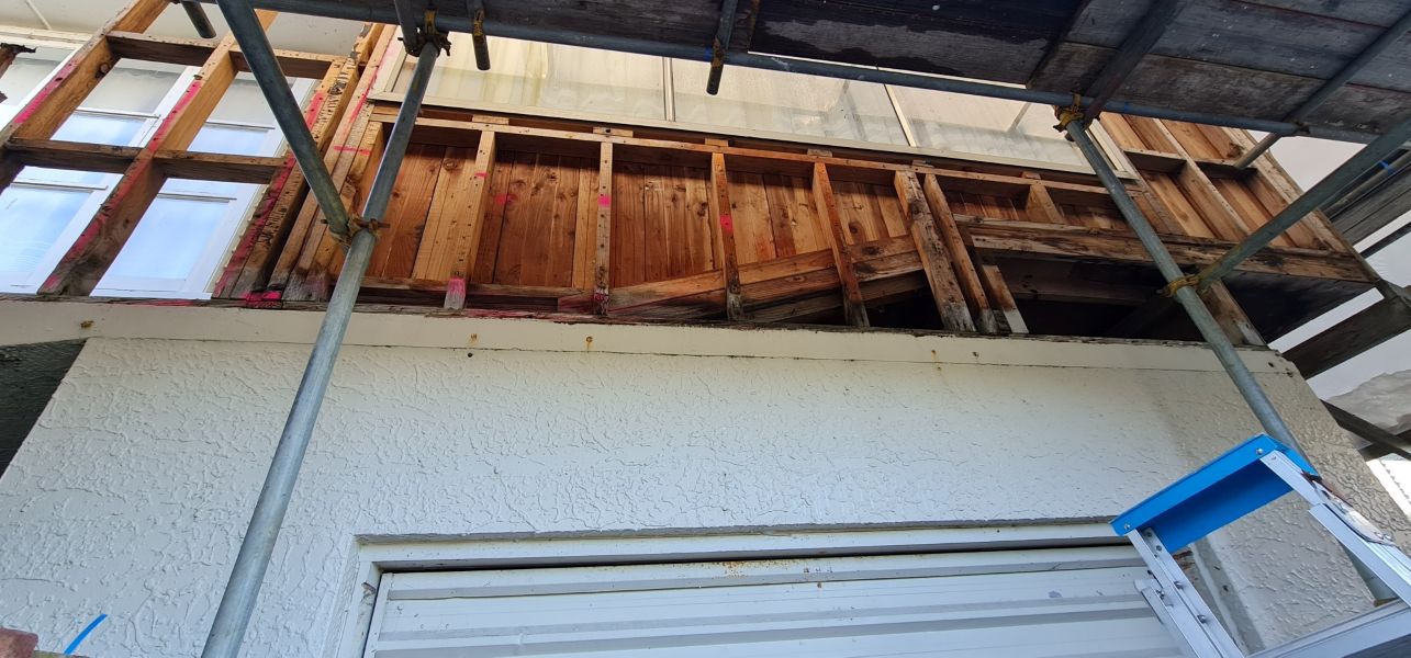 20230718 101421 resized oy