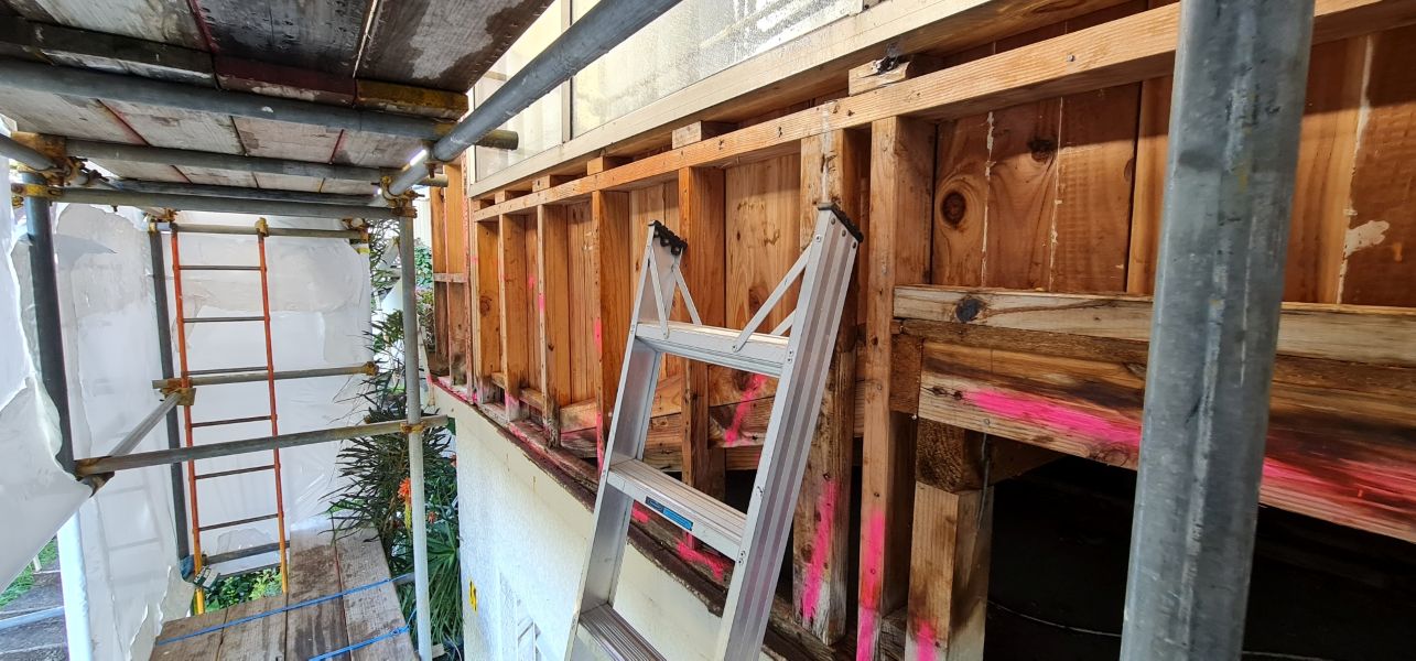 20230718 101910 resized oy